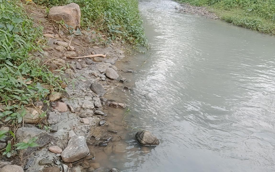 IMG-20250627-WA0024