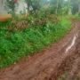 Lebih Dari Satu Dekade Jalan Lingkungan di Kampung Sukajadi Tidak Pernah Tersentuh Pembangunan, Warga: Kami Juga Bayar Pajak.